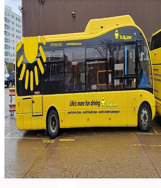 Vehicle Wraps